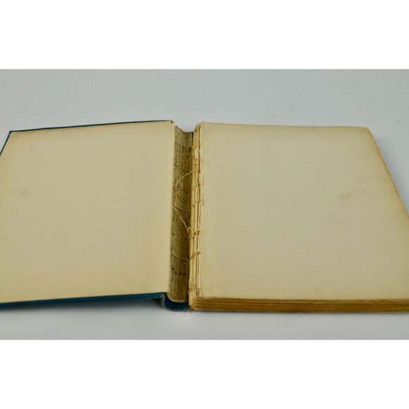 1903 Brevities Lisle de Vaux Matthewman Clare Victor Dwiggins Book - Picture 4 of 7